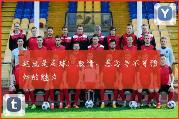 这就是足球：激情、悬念与不可预知的魅力