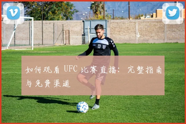 如何观看 UFC 比赛直播：完整指南与免费渠道