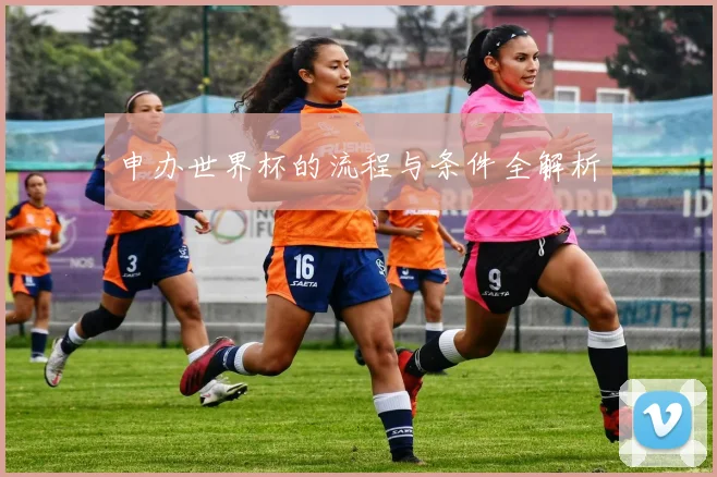 申办世界杯的流程与条件全解析