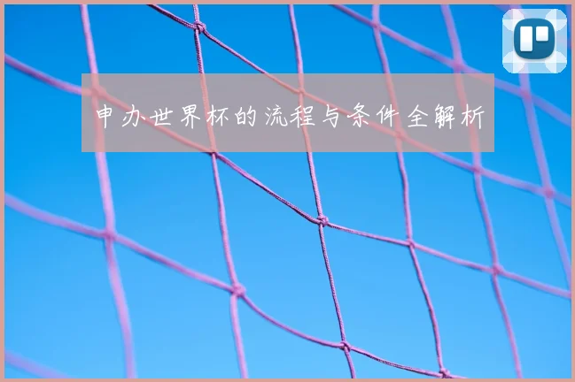 申办世界杯的流程与条件全解析