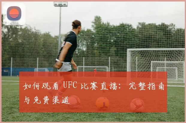 如何观看 UFC 比赛直播：完整指南与免费渠道