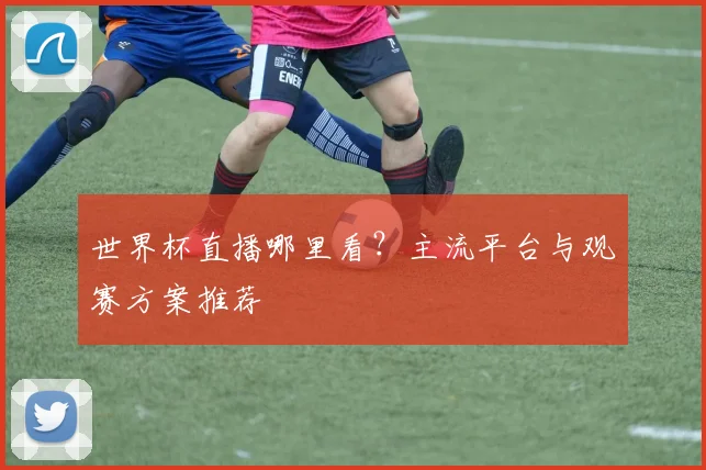 世界杯直播哪里看？主流平台与观赛方案推荐